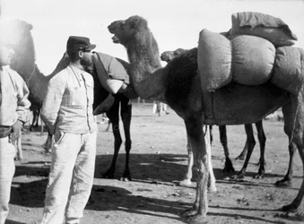 La Légion étrangère française en manœuvres, Boudenib, Maroc, 1911