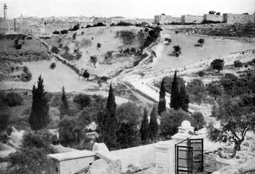 Le Jardin de Gethsémani et la Sainte Ville de Jérusalem