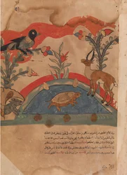 La gazelle devient amie avec le corbeau, la souris et la tortue