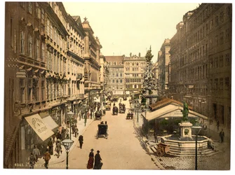 Le Graben, Vienne