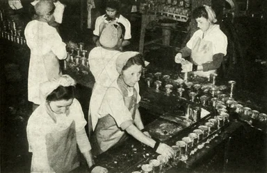 La grande industrie du saumon - Filles indiennes travaillant dans le département de mise en conserve