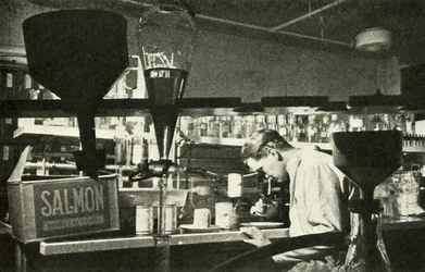 La grande industrie du saumon, vers 1948