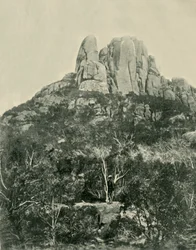 La Bosse, Montagnes Buffalo, 1901