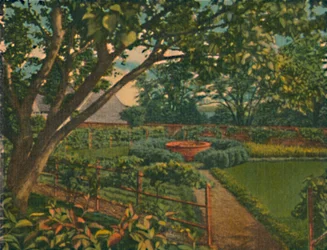 Le jardin potager, 1946