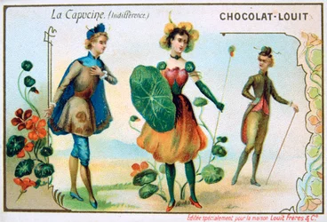 Le langage des fleurs, Capucine, Indifférence, vers 1900