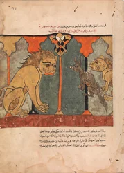 Le roi lion recrute le chacal ascétique, Folio d