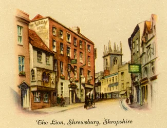 Le Lion, Shrewsbury, Shropshire