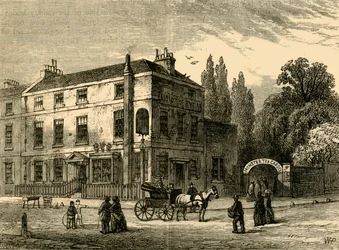 Les jardins de thé monstres