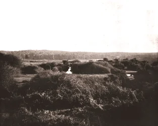 La Nouvelle Forêt, Hampshire, 1894