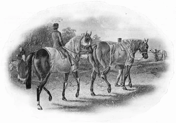 La prochaine course, 19e siècle, 1911