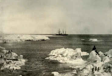 Le Nimrod au large de la colonie de manchots