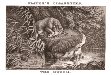 La Loutre, 1924