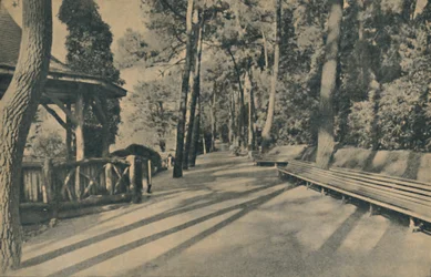 La promenade des pins, 1929