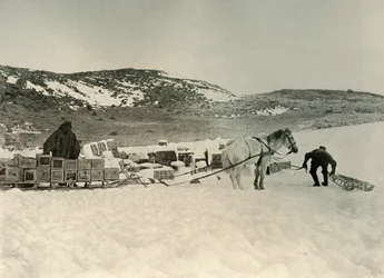 Le Pont Quan sur le point de tirer un traîneau chargé de provisions, vers 1908, 1909