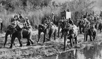 Le prince de Galles chassant le tigre en Inde, 1921