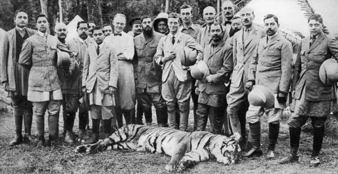 Le Prince de Galles chassant le tigre au Népal, la tournée indienne, 1921