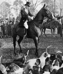 Le prince de Galles avec la chasse de Beaufort, 1923