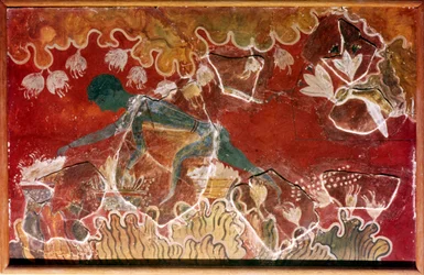 La Fresque du Cueilleur de Safran du Palais Royal Minoen, Knossos, Crète, vers 15e siècle av. J.-C.
