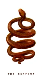 Le Serpent