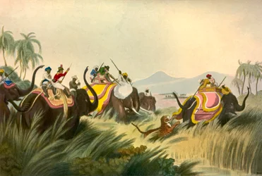 La Chasse au Tigre