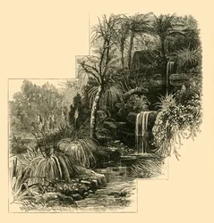 Les Jardins Tropicaux, Battersea Park, vers 1878