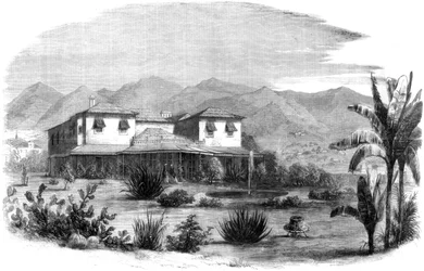 La Vigia, Madère, Portugal, 1861