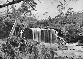 Le Rocher Pleureur à Wentworth Falls, Blue Mountains