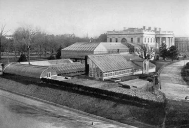 La Maison Blanche et les serres, Washington DC, USA, 1908