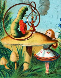 La chenille sur son champignon, vers 1900