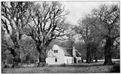 La cave du domaine viticole Vergelegen, Afrique du Sud, 1931