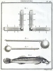 Thermomètres