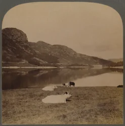 Thirlmere, un lac réservoir, l