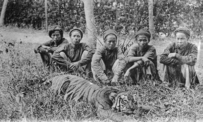 Chasseurs de tigres, Tonkin, Vietnam, XXe siècle