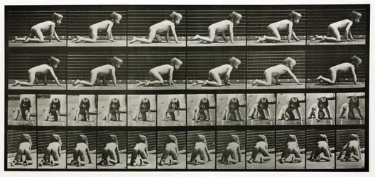 Photographies en accéléré d