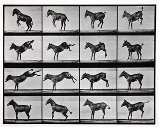 Photographies en accéléré d
