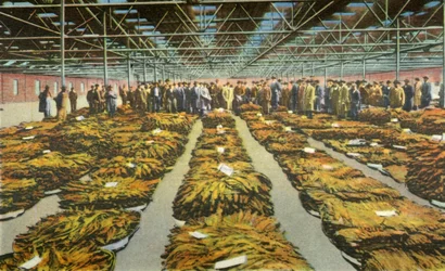 Vente de tabac, une scène toujours intéressante, 1942
