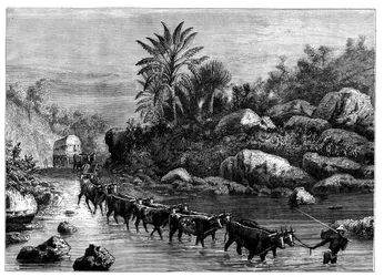 Voyage en Griqualand, Afrique du Sud, c1890