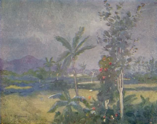 Pluies tropicales aux Antilles, 1924