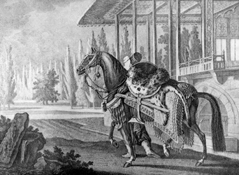 Cheval arabe du pacha turc, 1722