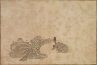 Tortue dans un étang de lotus, 18ème siècle