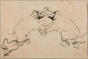 Deux éléphants en combat, début des années 1700