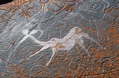 Peintures rupestres de Twyfelfontein, Damaraland, Namibie