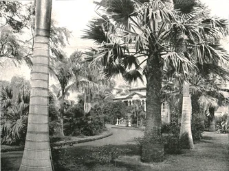 Cour typique hawaïenne, Honolulu, USA, 1895