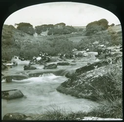 Haut Dart - Dartmoor, fin du XIXe-début du XXe siècle