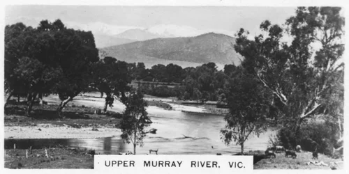 Haut Murray River, Victoria, Australie, 1928