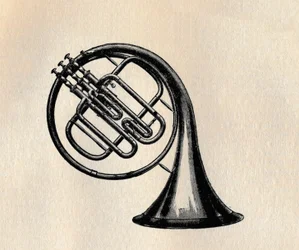 Corne à valve, 1895