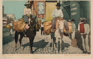 Hommes de légumes, La Havane, Cuba, 1904