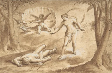 Vénus découvrant la mort d