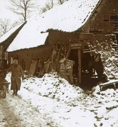 Station vétérinaire pour chevaux, Calonne, nord de la France, vers 1914-1918