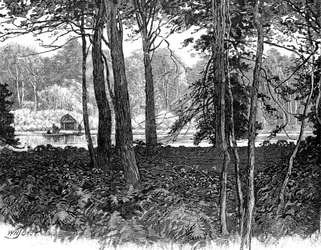 Vue dans le parc de Claremont, Surrey, 1900